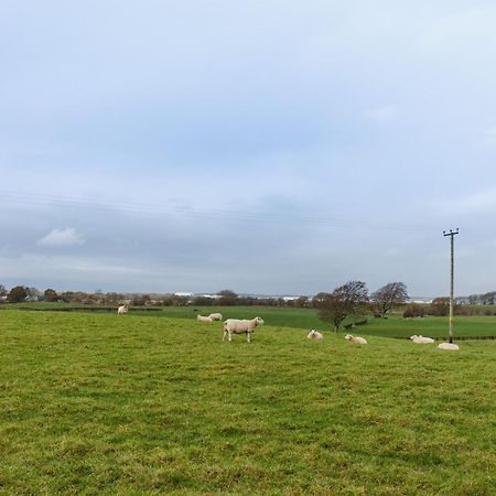 The Paddock At Brickrow Farm Villa Ayr Exterior foto