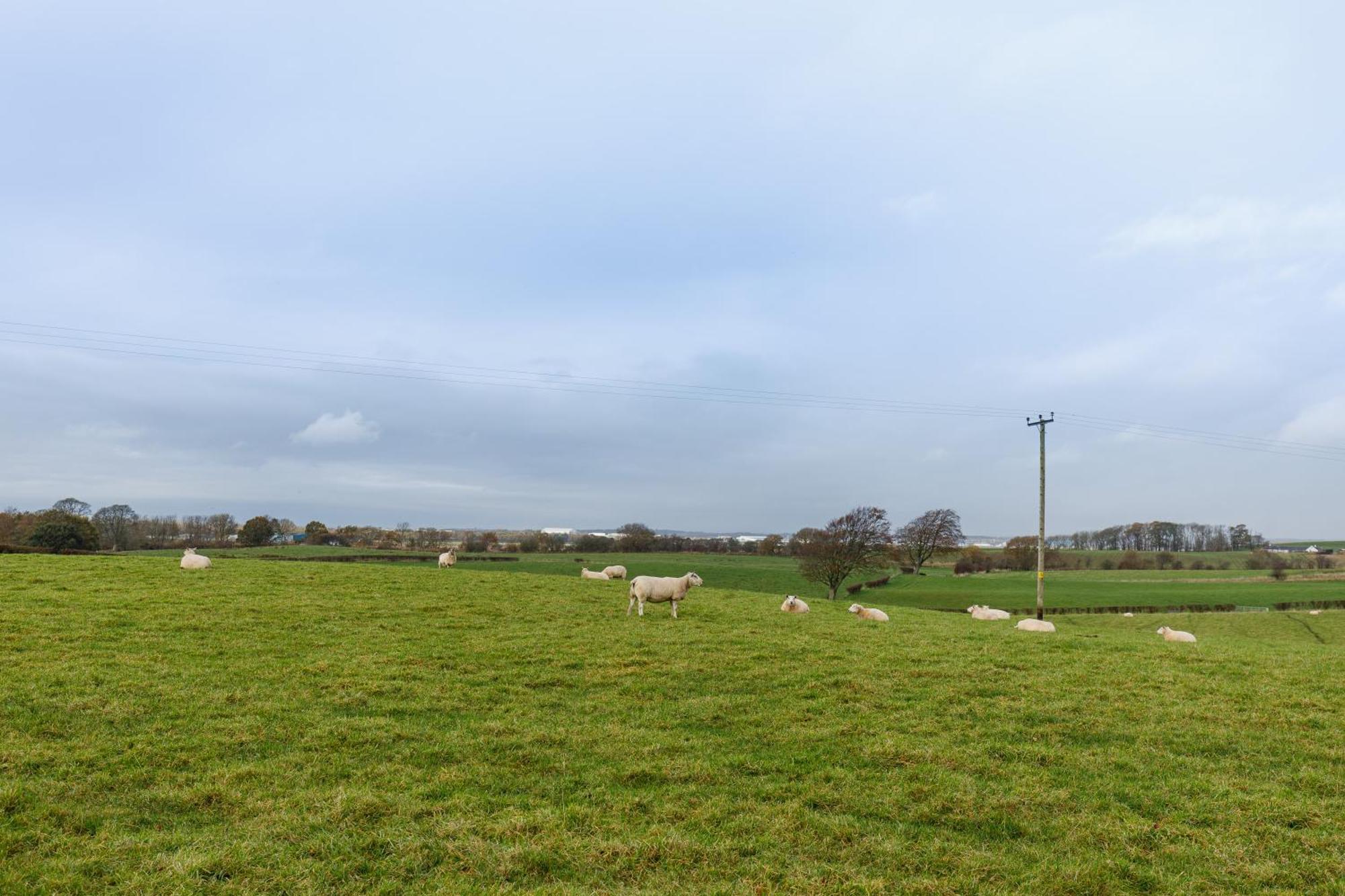 The Paddock At Brickrow Farm Villa Ayr Exterior foto